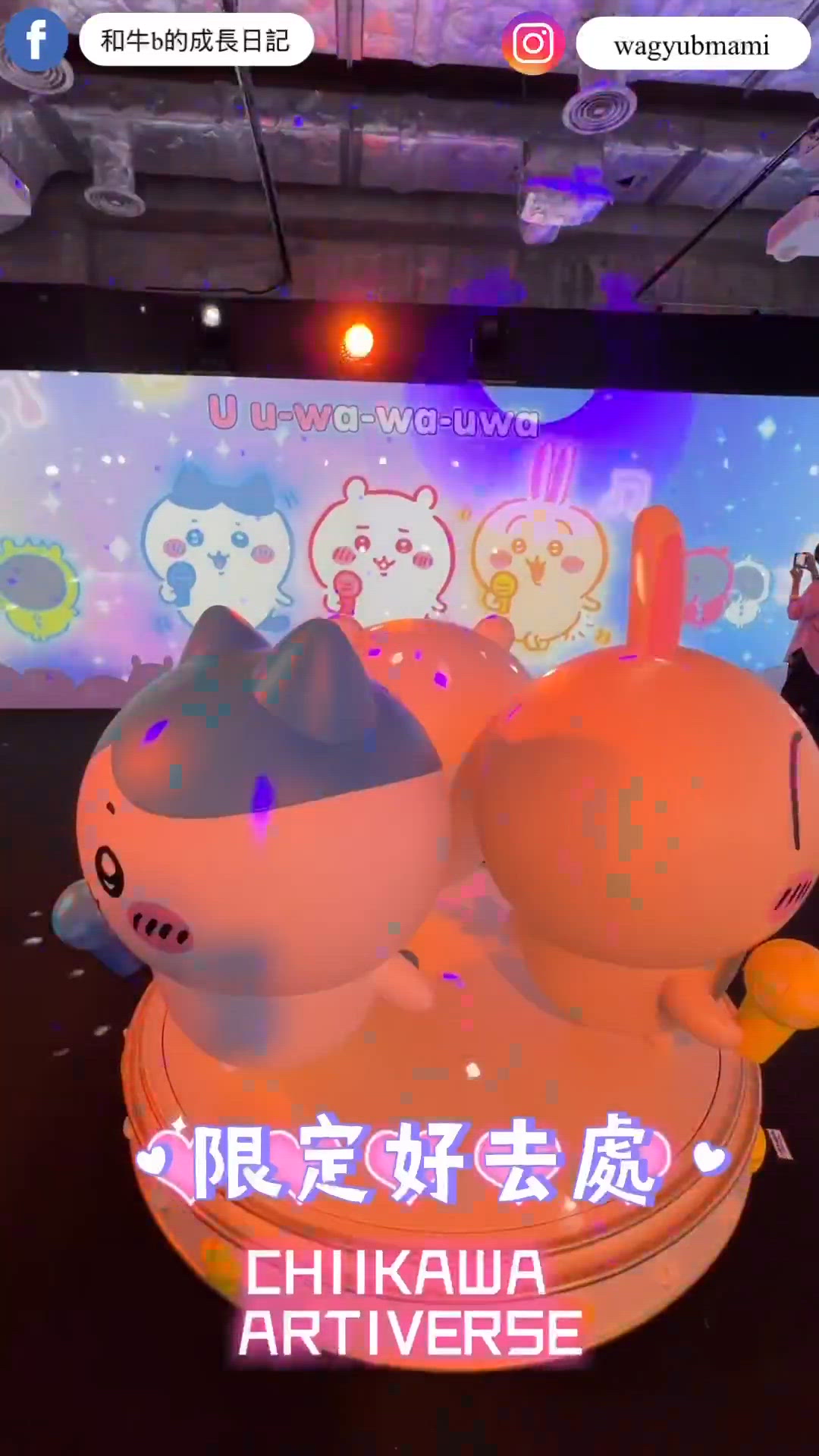 Chiikawa Artiverse特展現場直擊😍