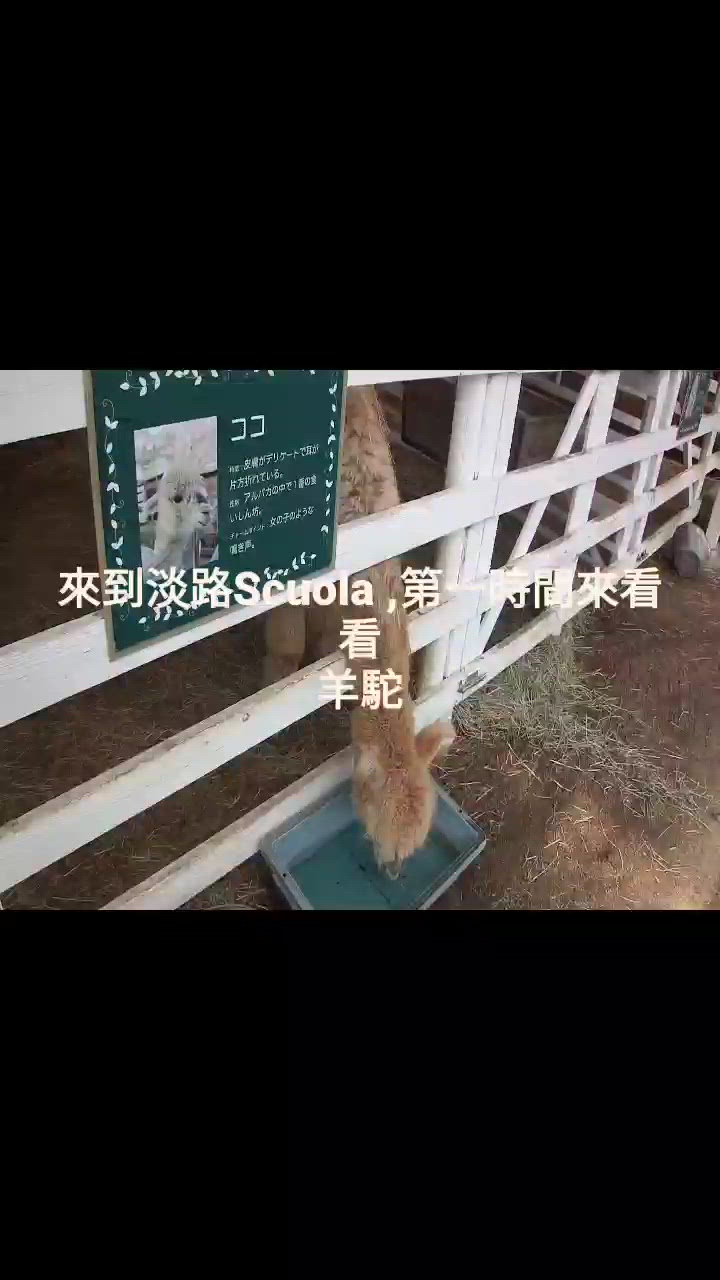 淡路島一站式好玩好食小校園！👩‍🏫🍴✨