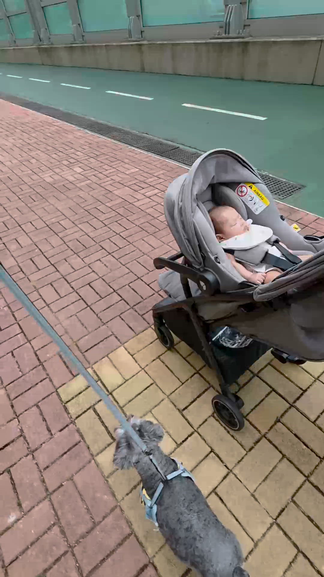 oreo 🐾保護小主人👶