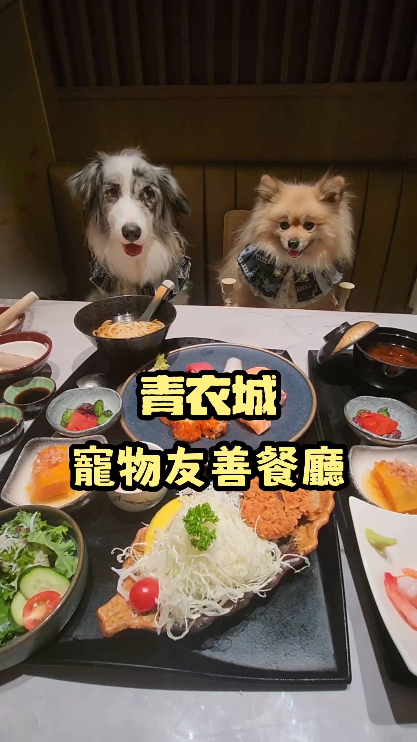 日式吉列豬排專門店