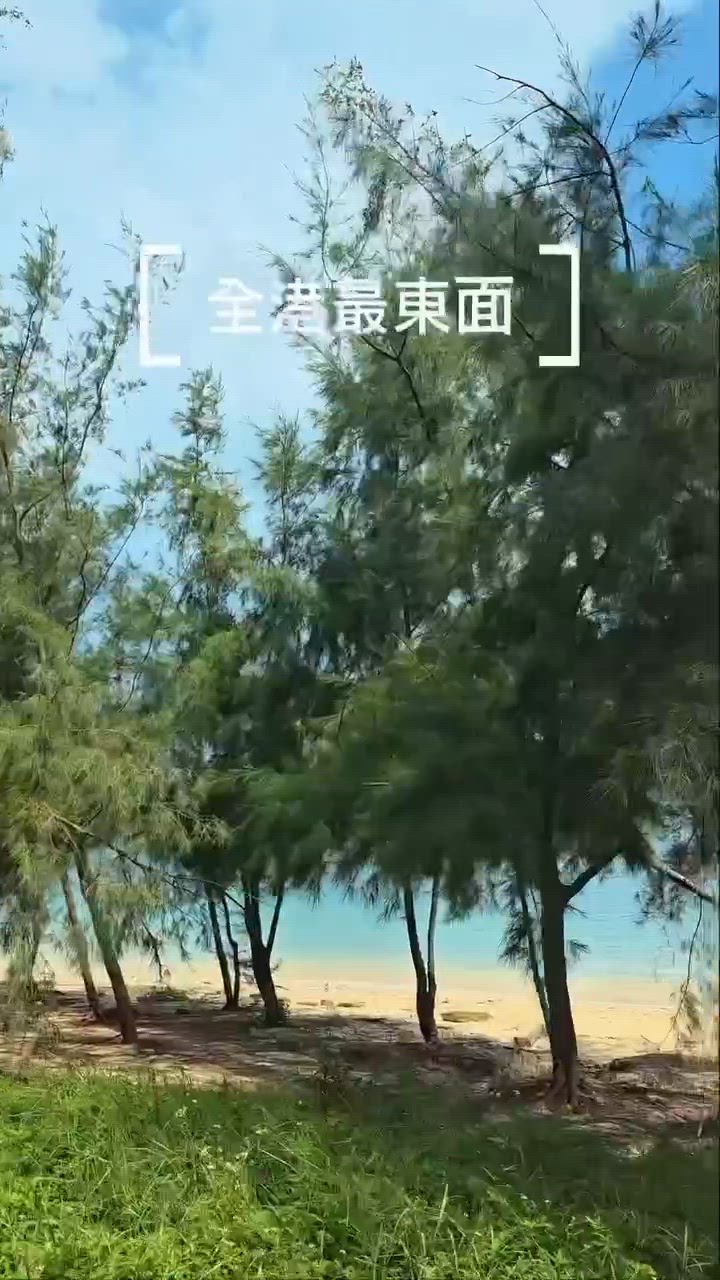 大自然