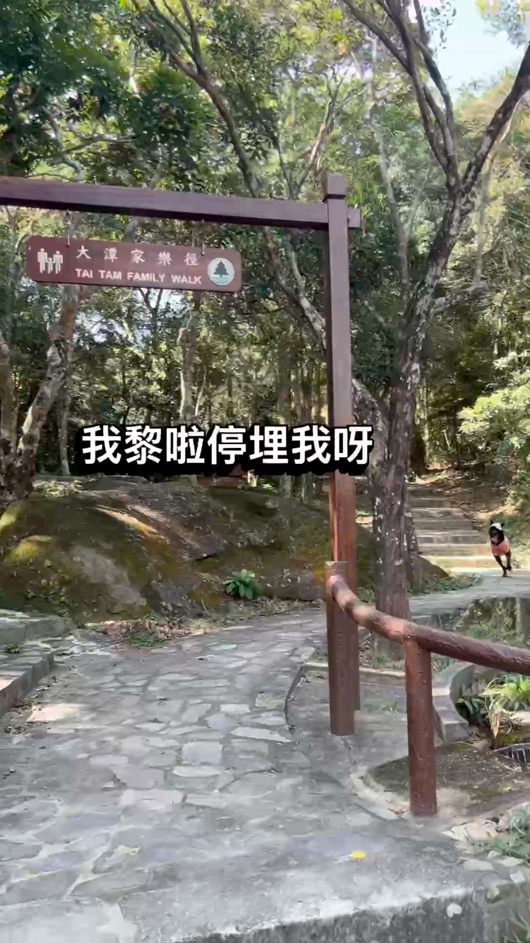 ⛰️山季開鑼啦🩷大潭水塘落淺水灣 