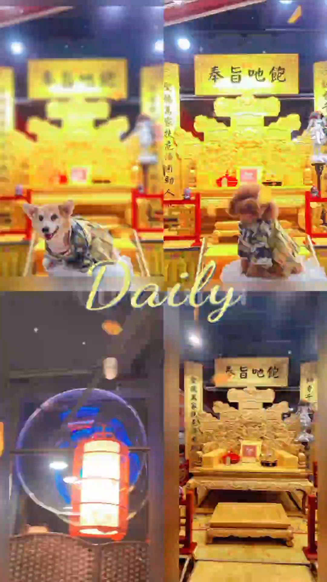 media 1