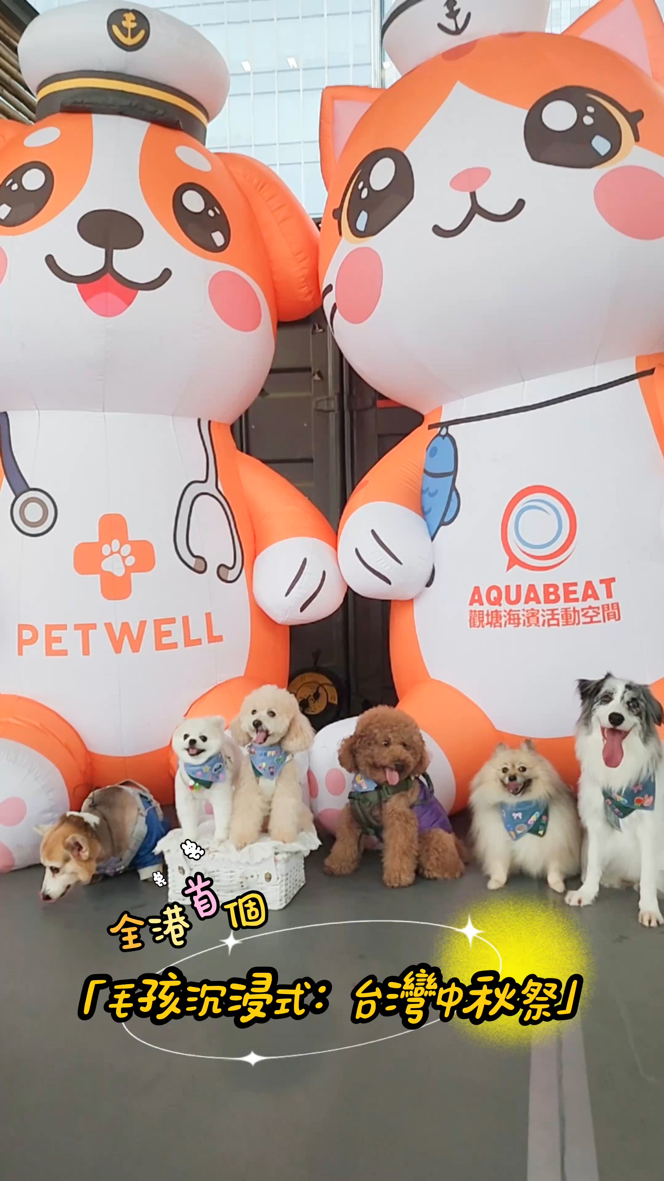全港首個｢毛孩沉浸式:台灣中秋祭｣🌕🐾 