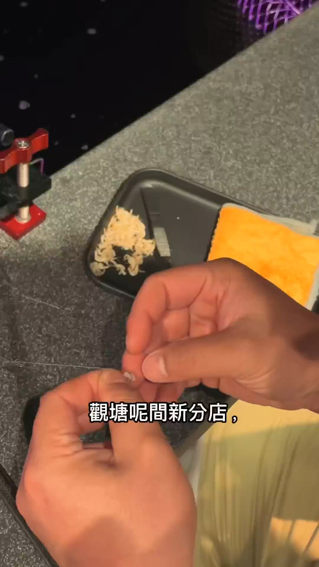 觀塘釣蝦超易釣！🦐
