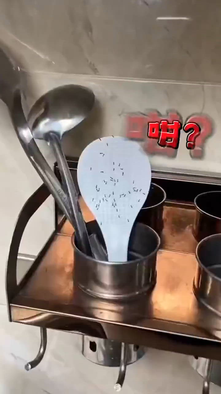 屋企驚現蟲患？一招殲滅！🪳