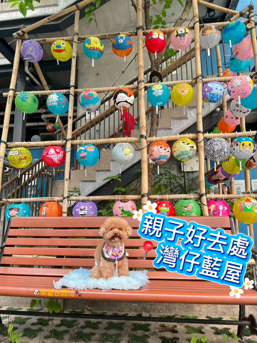 📍灣仔藍屋走走🐾