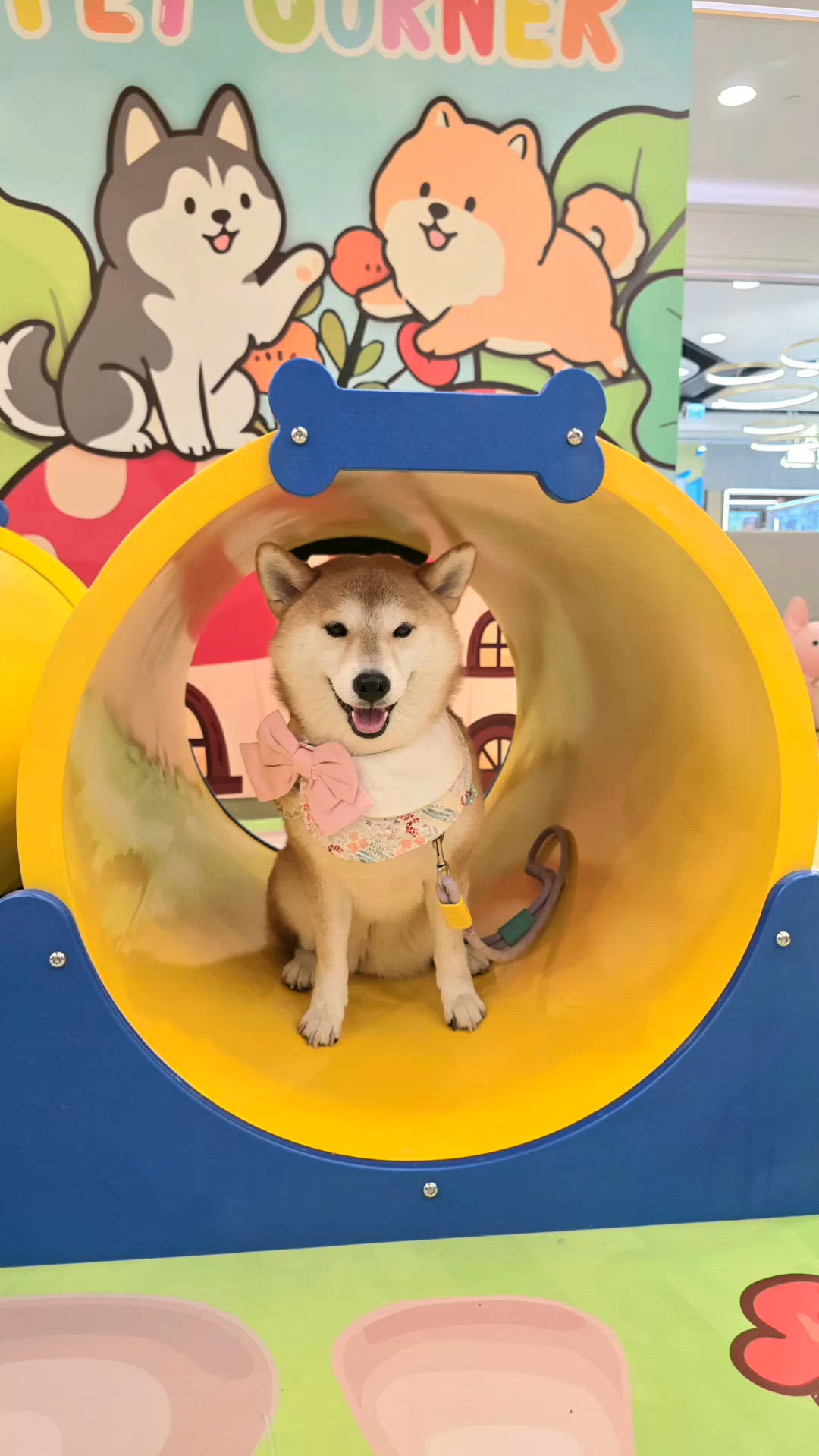 真係好喇！又多一個商場有室內 Pet Playground�